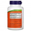 NOW Foods, 엘더베리, 500mg, 베지 캡슐 120정