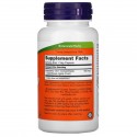 NOW Foods, 엘더베리, 500mg, 베지 캡슐 60정