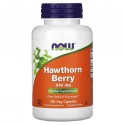 NOW Foods, 산사나무 베리, 540mg, 베지 캡슐 100정