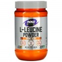 NOW Foods, 스포츠, L-류신 파우더, 255g(9oz)