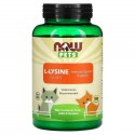 NOW Foods, Pets, 반려묘용 L-라이신, 226.8g(8oz)