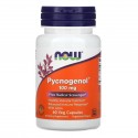 NOW Foods, Pycnogenol, 100mg, 베지 캡슐 60정
