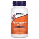NOW Foods, Pycnogenol, 60mg, 베지 캡슐 50정