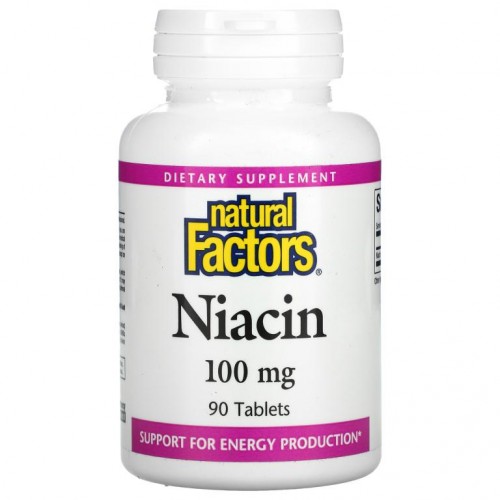 Natural Factors, 니아신, 100mg, 90정