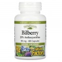 Natural Factors, 빌베리, 40mg, 캡슐 60정