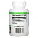 Natural Factors, 브로멜라인, 500 mg, 캡슐 90정