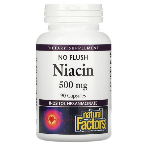 Natural Factors, 노 플러쉬 니아신, 500mg, 캡슐 90정