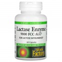 Natural Factors, 락타아제 효소, 9,000FCC ALU, 캡슐 60정