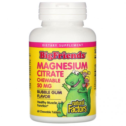 Natural Factors, Big Friends, 마그네슘시트레이트, 풍선껌 맛, 50mg, 츄어블 60정