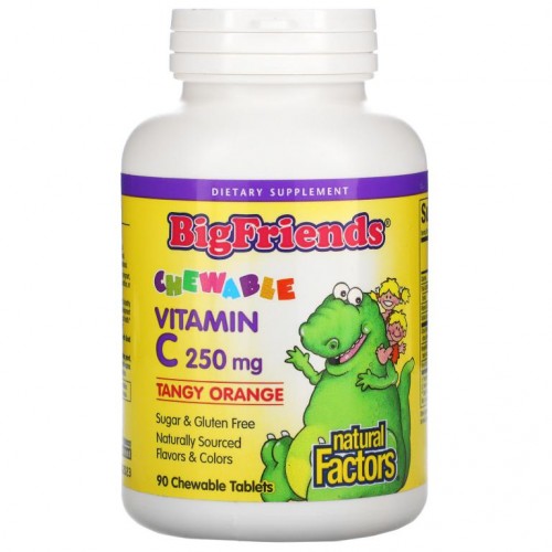Natural Factors, Big Friends, 츄어블 비타민C, 탠지 오렌지, 250mg, 츄어블 정 90정