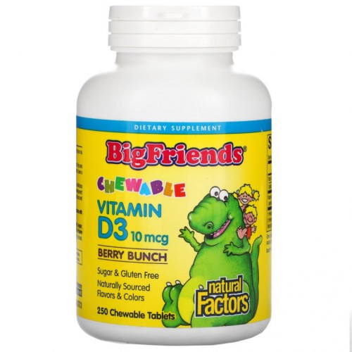Natural Factors, Big Friends, 츄어블 비타민D3, 베리 번치, 10mcg, 츄어블 250정