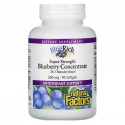 Natural Factors, BlueRich, 고강도 블루베리 농축물, 500mg, 소프트젤 90정