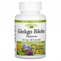Natural Factors, Ginkgo Biloba, Phytosome, 60mg, 캡슐 60정