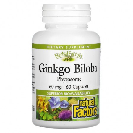 Natural Factors, Ginkgo Biloba, Phytosome, 60mg, 캡슐 60정
