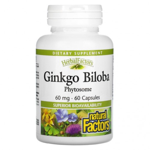 Natural Factors, Ginkgo Biloba, Phytosome, 60mg, 캡슐 60정