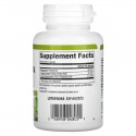Natural Factors, Ginkgo Biloba, Phytosome, 60mg, 캡슐 60정