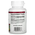Natural Factors, GrapeSeedRich, 포도 씨추출물, 100mg, 베지 캡슐 90정