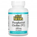 Natural Factors, 포스파티딜콜린(PC), 420mg, 소프트젤 90정