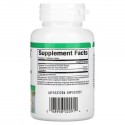 Natural Factors, Pycnogenol, 100mg, 베지 캡슐 30정