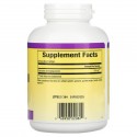 Natural Factors, 코엔자임 Q10, 100mg, 소프트젤 240정