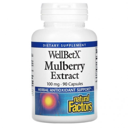 Natural Factors, WellBetX, 멀베리 추출물, 100mg, 캡슐 90정