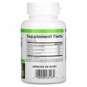 Natural Factors, 페퍼민트 + 오레가노 오일 복합체, 장용 코팅 소프트젤 60정