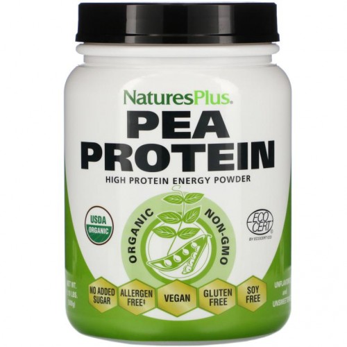 NaturesPlus, 유기농 콩 단백질 파우더, 1.10 lbs (500 g)