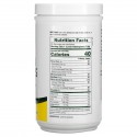 NaturesPlus, 천연 대두 레시틴 과립, 340g(12oz)