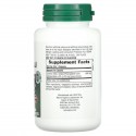 NaturesPlus, 허브 액티브, 리코리스 (DGL), 500 mg, 60개의 채소 캡슐
