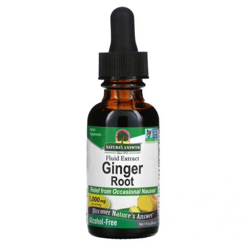Nature's Answer, 생강 뿌리, 액상 추출물, 알코올 무함유, 1,000mg, 30ml(1fl oz)