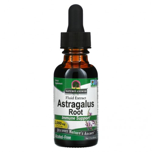Nature's Answer, 황기 뿌리, 액상 추출물, 알코올 무함유, 2,000mg, 30ml(1fl oz)
