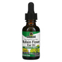 Nature's Answer, 뮬레인 꽃, 이어 오일, 알코올 무함유, 30ml(1fl oz)