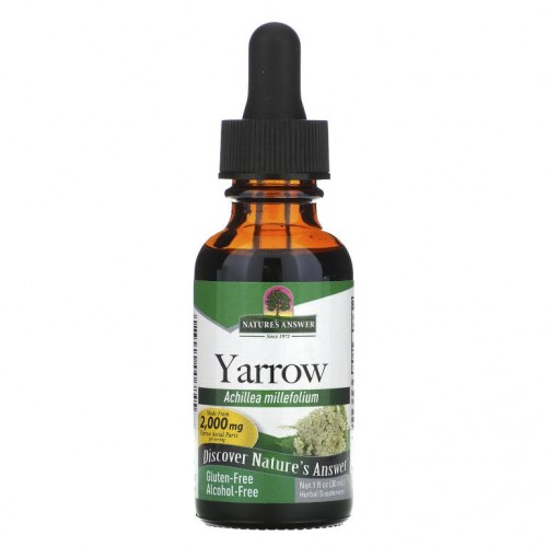 Nature's Answer, 톱풀, 무알코올, 2,000 mg, 1 fl oz (30 ml)
