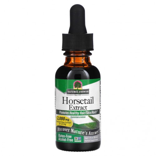 Nature's Answer, 쇠뜨기 추출물, 알코올 무함유, 2,000mg, 30ml(1fl oz)