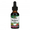 Nature's Answer, 바베리 뿌리, 2,000mg, 30ml(1fl oz)