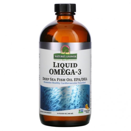 Nature's Answer, 액상 오메가3, 심해 피쉬 오일 EPA/DHA, 오렌지 맛, 480ml(16fl oz)