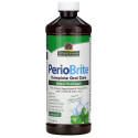 Nature's Answer, PerioBrite, 천연 구강 청결제, 쿨민트, 480ml(16fl oz)