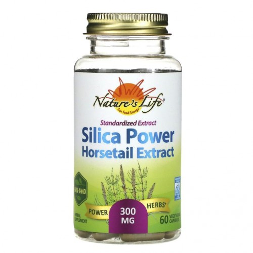 Nature's Herbs, 표준화 추출물 실리카 파워, 300mg, 베지 캡슐 60정