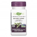 Nature's Way, 프리미엄 추출물, 올리브 잎, 250mg, 베지 캡슐 60정