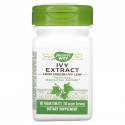 Nature's Way, 아이비 추출물, 25mg, 베지 정제 90정