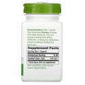 Nature's Way, 쇠뜨기, 440mg, 비건 캡슐 100정