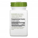 Nature's Way, 우엉 뿌리, 475 mg, 비건 캡슐 100정