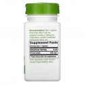 Nature's Way, 회향 씨, 480mg, 베지 캡슐 100정