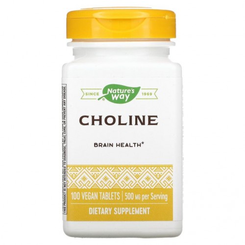 Nature's Way, 콜린, 500mg, 베지 정제 100정
