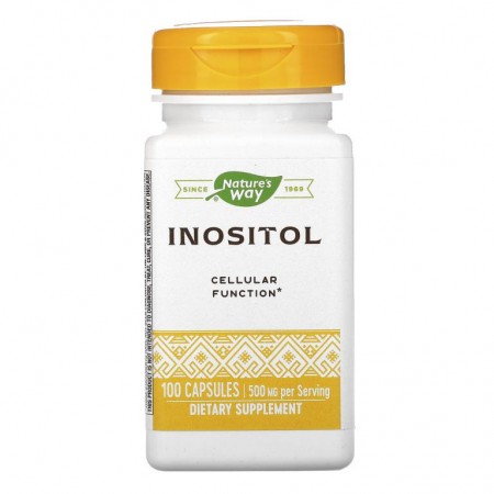 Nature's Way, 이노시톨, 500mg, 캡슐 100정