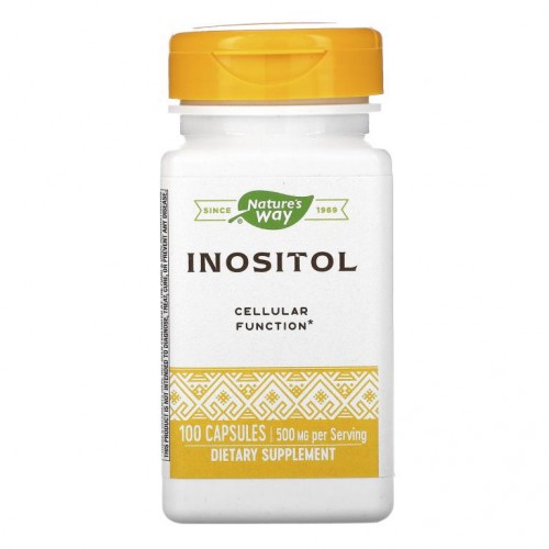 Nature's Way, 이노시톨, 500mg, 캡슐 100정
