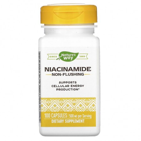 Nature's Way, 나이아신아마이드, 500mg, 캡슐 100정