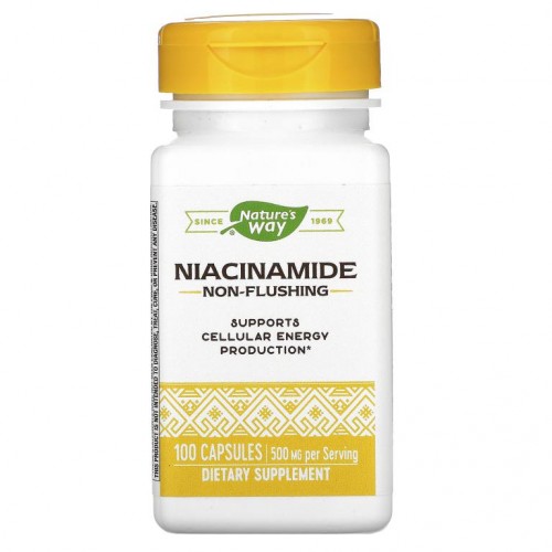 Nature's Way, 나이아신아마이드, 500mg, 캡슐 100정