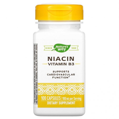 Nature's Way, 니아신, 비타민B3, 100mg, 캡슐 100정
