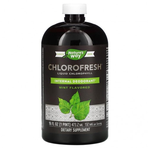 Nature's Way, Chlorofresh, 액상 엽록소, 민트, 132mg, 473.2ml(16fl oz)